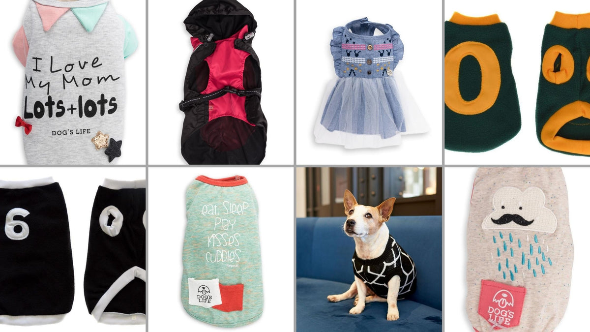 Classy Dog Jerseys - Kunduchi Pet Products