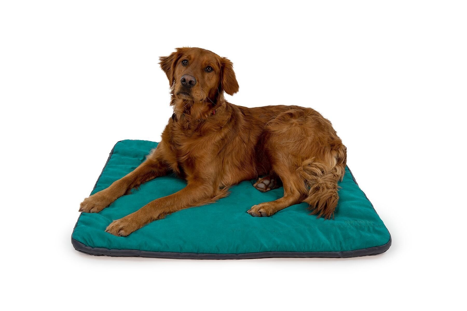 Ruffwear Mt. Bachelor Pad Portable Dog Bed for Camping Adventures