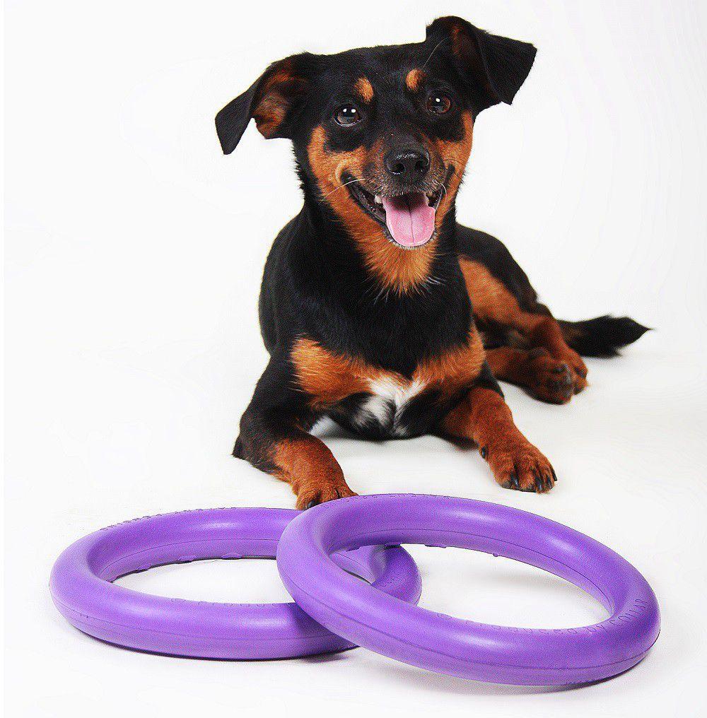 Puller Interactive Dog Toys - 2-Packs